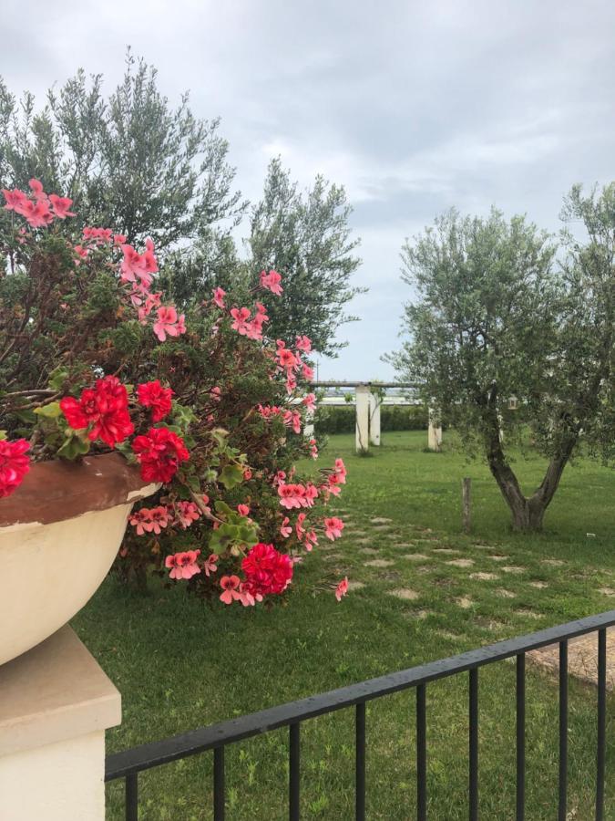 Tenuta Orsanese Джиноза-Марина Экстерьер фото